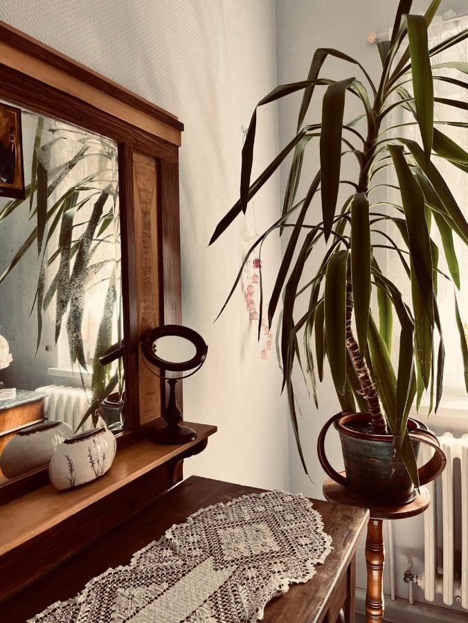 Ferienwohnung Geister Naumburg  Exteriör bild