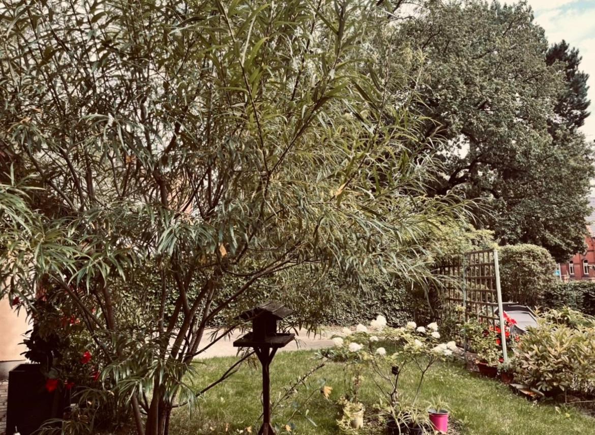 Ferienwohnung Geister Naumburg  Exteriör bild